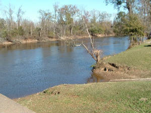 Neuse River.jpg