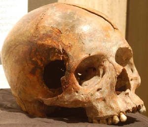 Cannon ball head shot.jpg