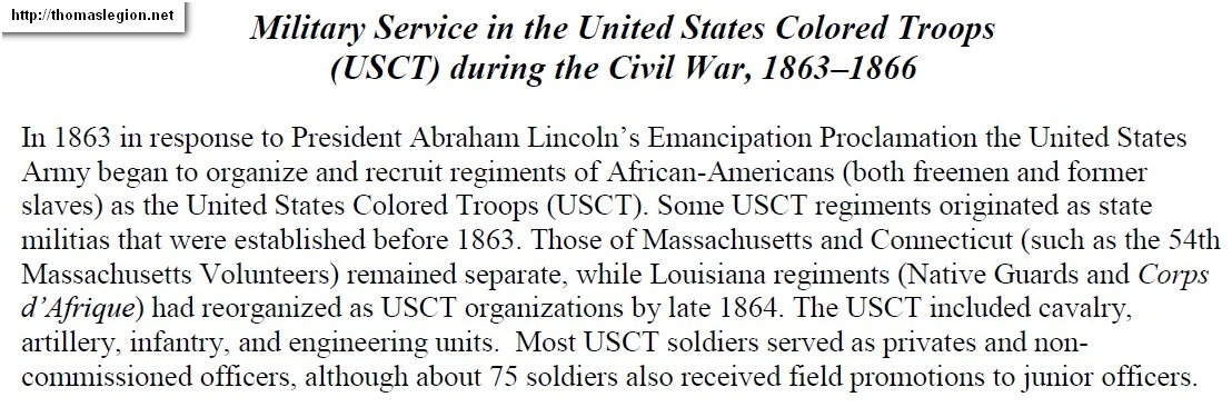 African-American Civil War History.jpg