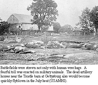 Dead Civil War cavalry.jpg