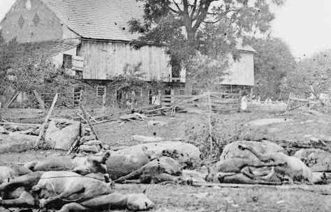 Dead Civil War horses.jpg