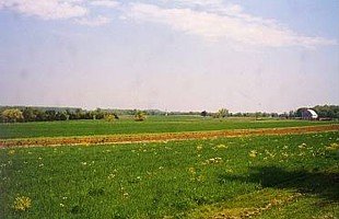 East Cavalry Field .jpg