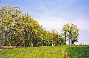 Seminary Ridge.jpg