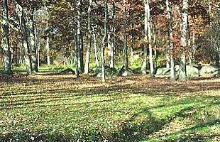 Spangler's Spring.jpg