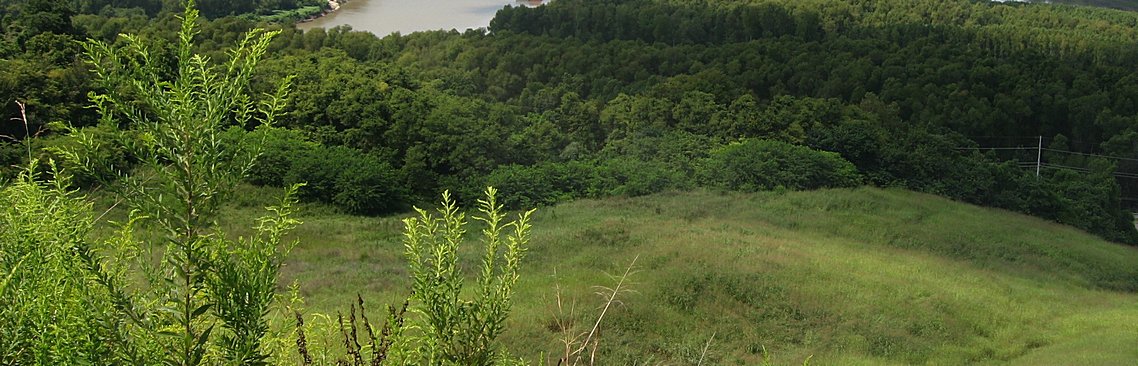 Civil War and Battle of Vicksburg Bluffs .jpg