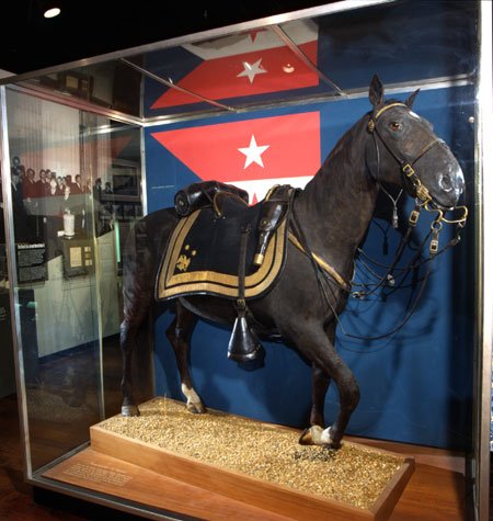 Civil War Cavalry horse.jpg